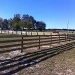horse-farm-ocala-fence (1)