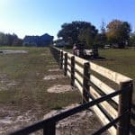 horse-farm-ocala-fence (2)