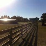 horse-farm-ocala-fence (3)