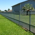 Fencing in Gainesville and beyond